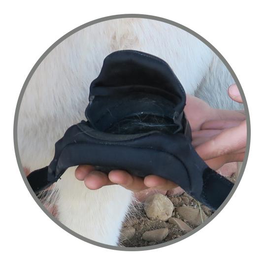 Easyboot Mini Hufschuh