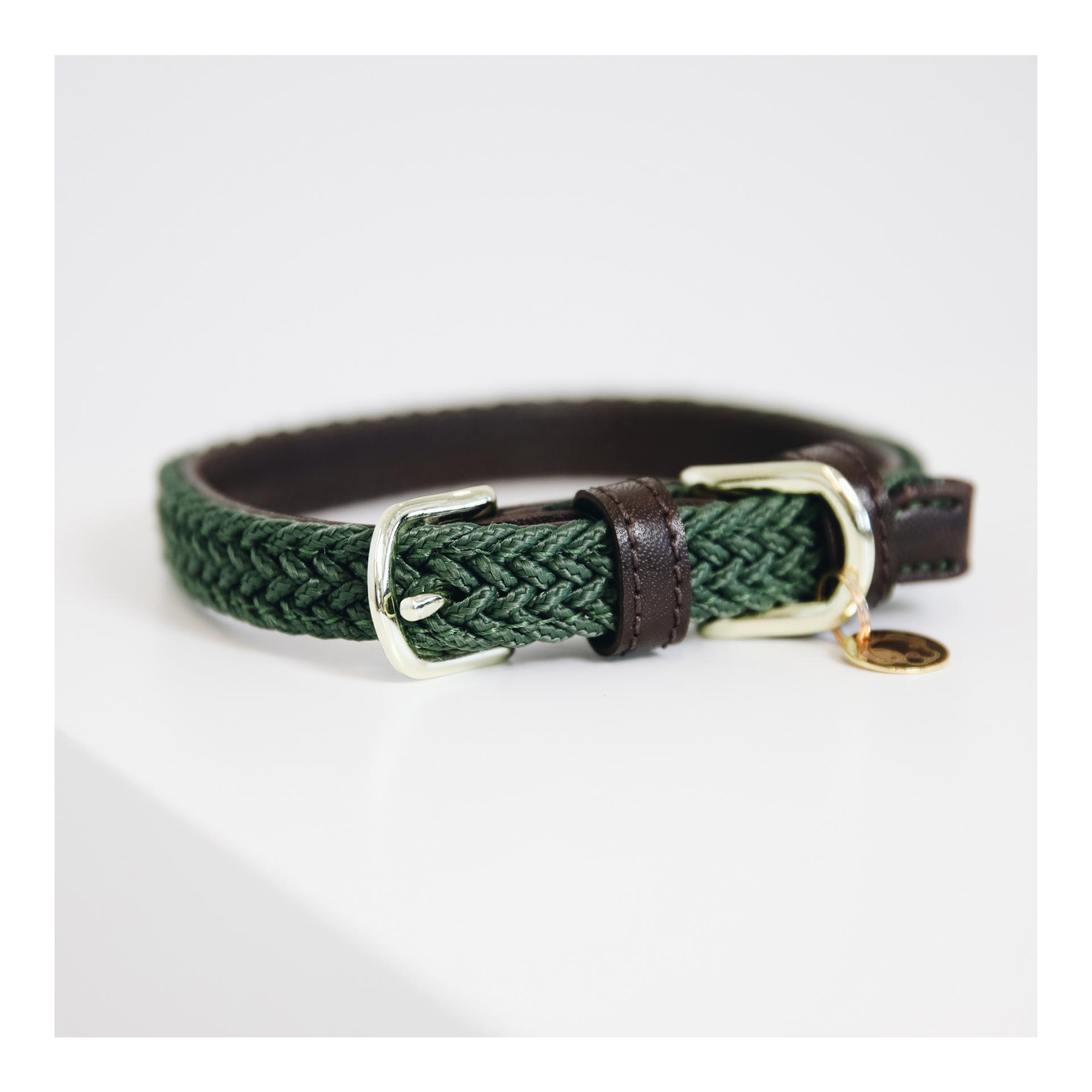 Kentucky Dogwear Collier pour chien en nylon tressé - vert olive