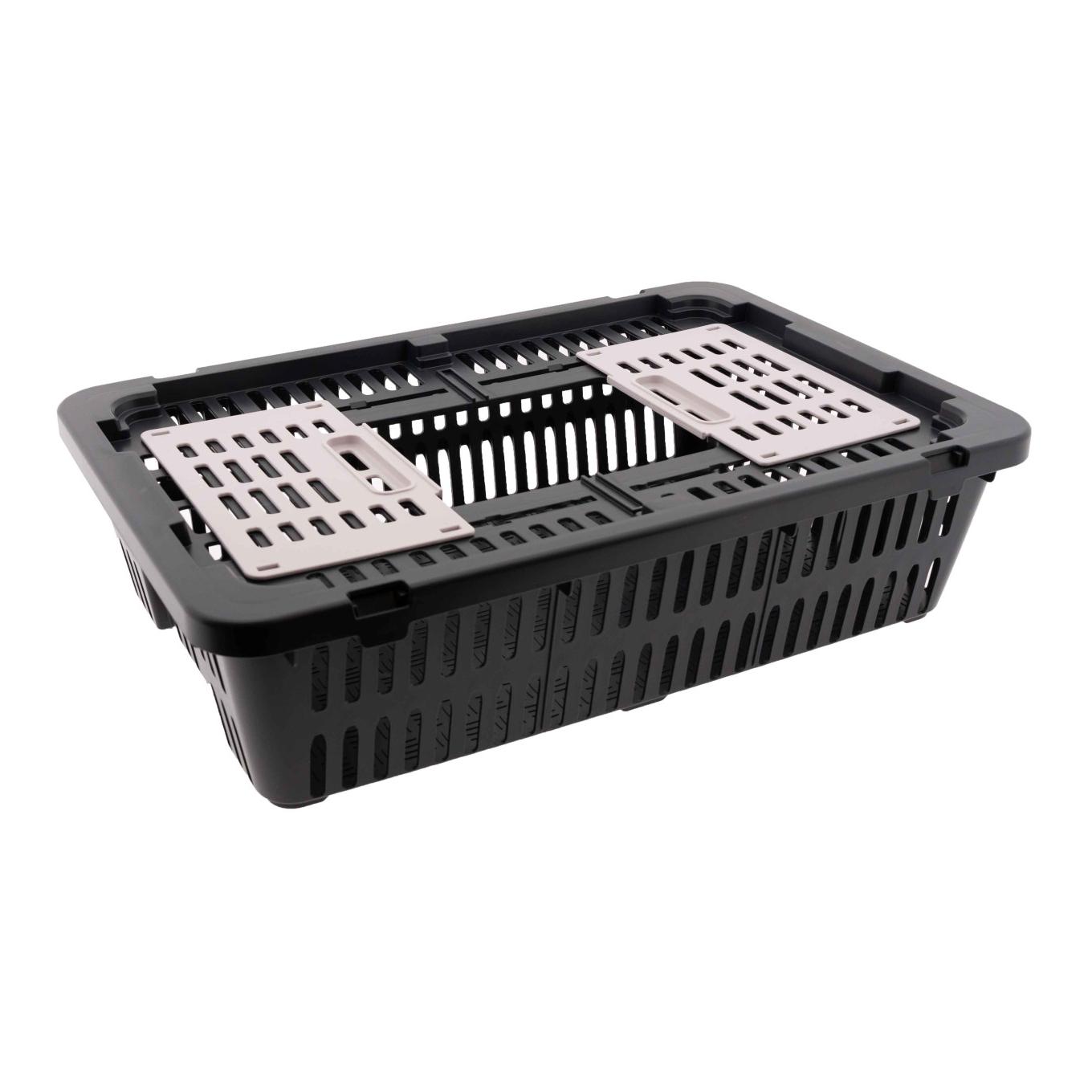 Olba Caisse de transport pour cailles/pigeons