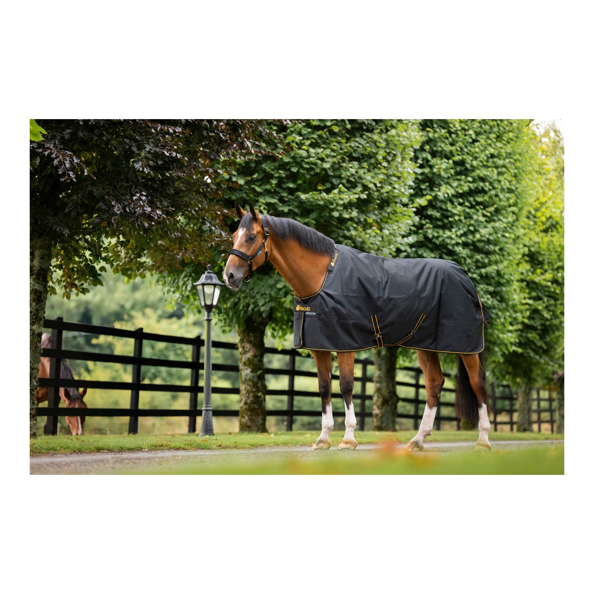 Bucas Irish Turnout Ligth Classic 50g Isolation - schwarz/gold