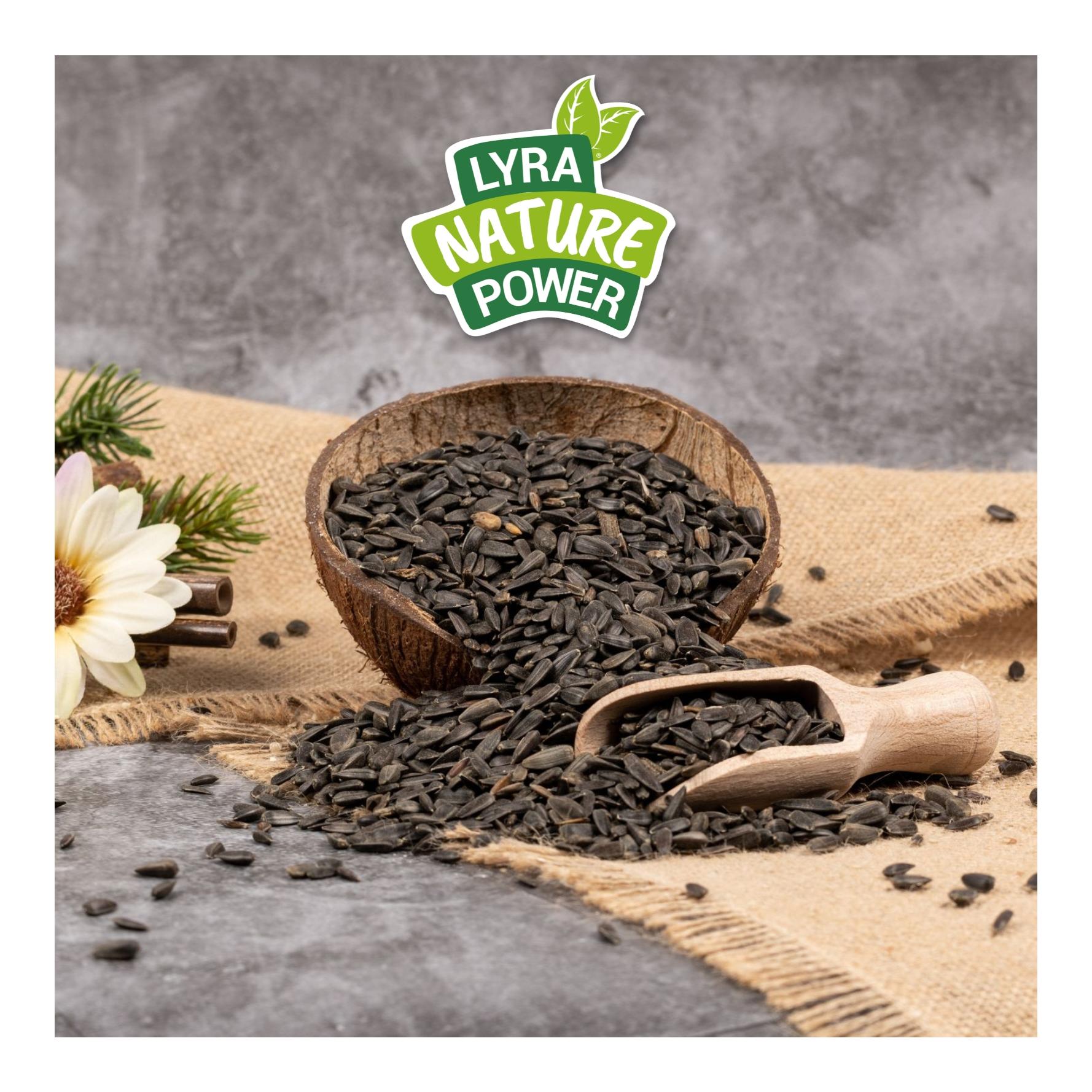 Lyra Pet Graines de tournesol noires