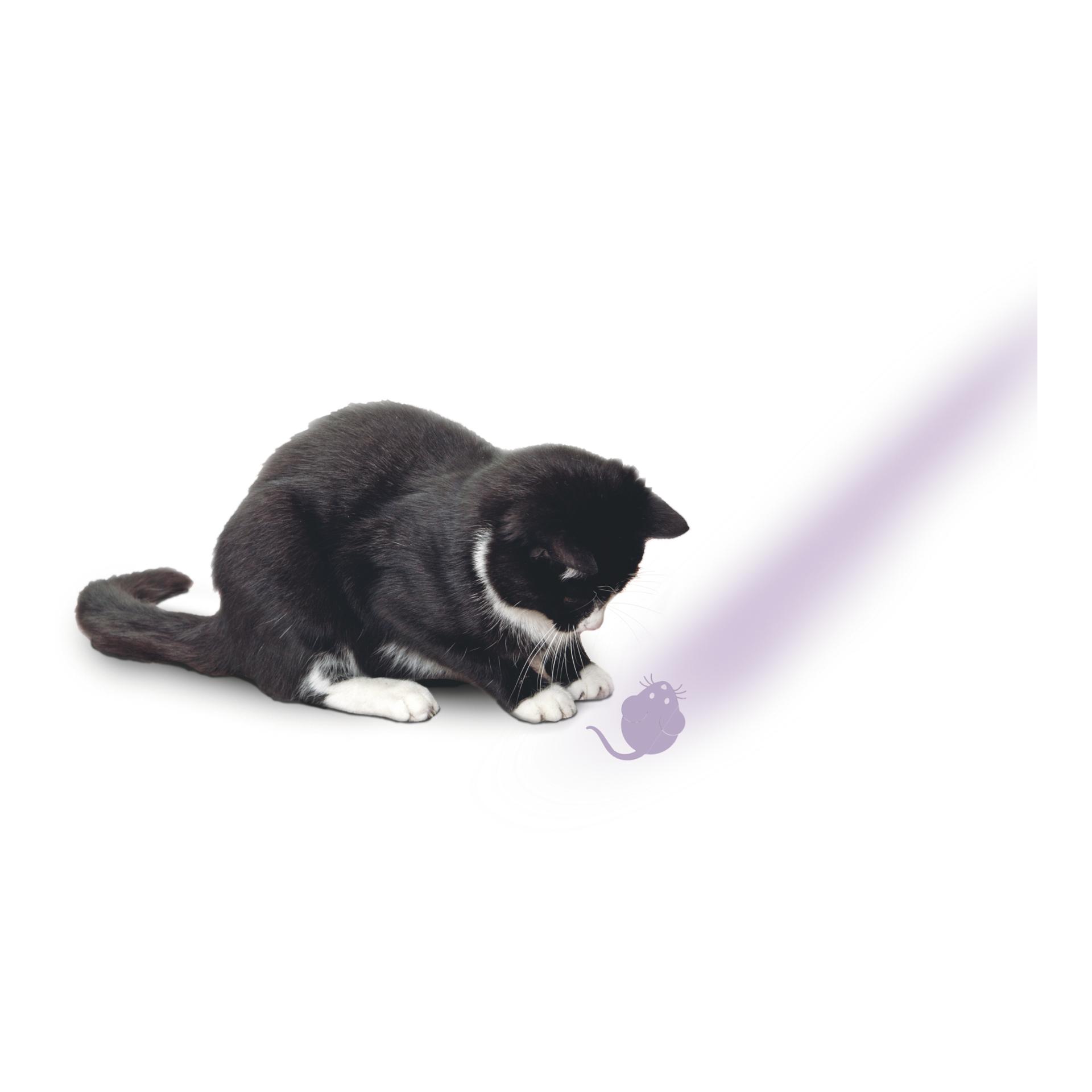 TRIXIE Pointeur LED d'affichage avec motif souris