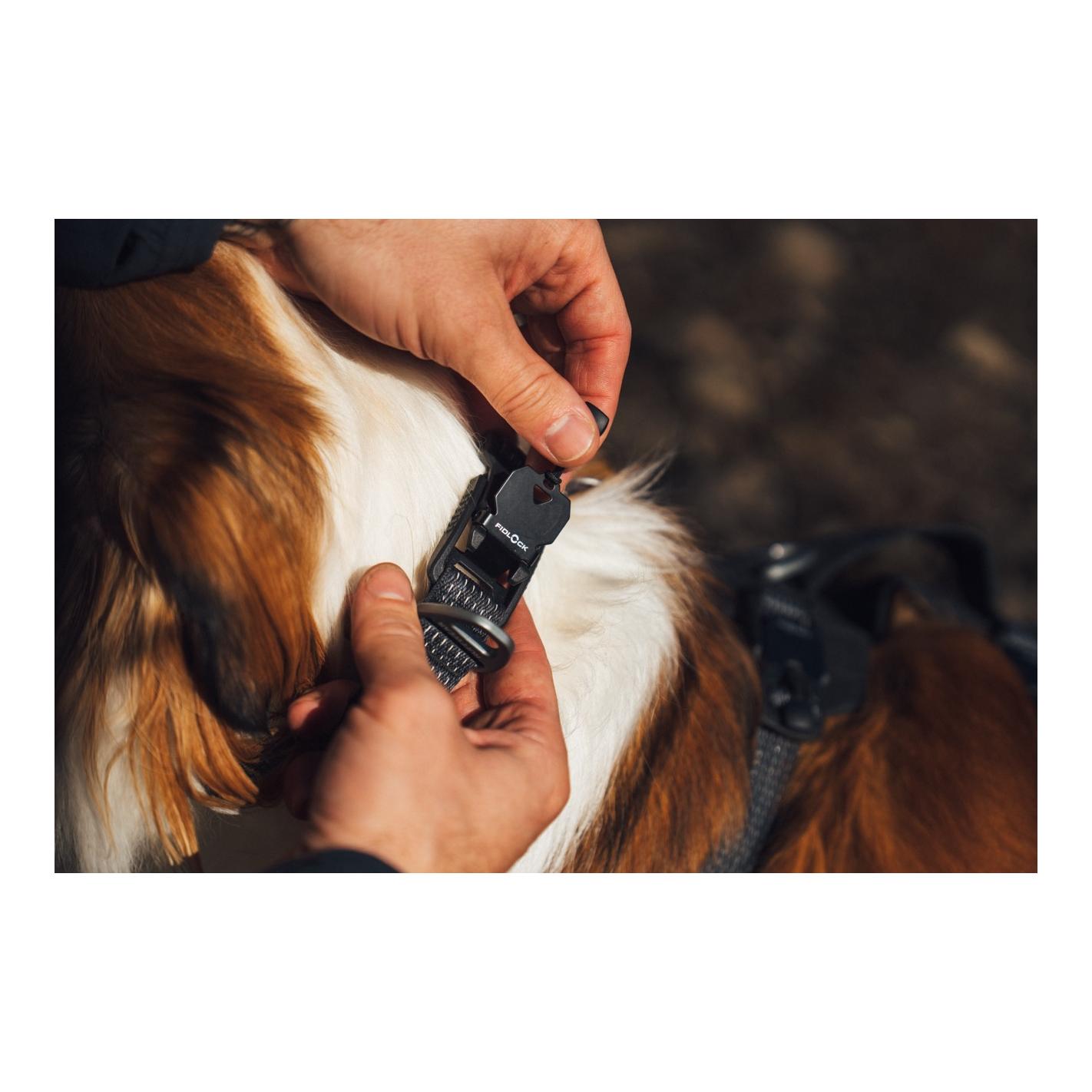 Ruffwear Ridgeline™ Collier de chien