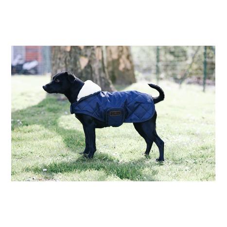 Kentucky Dogwear Manteau pour chien Original - marine