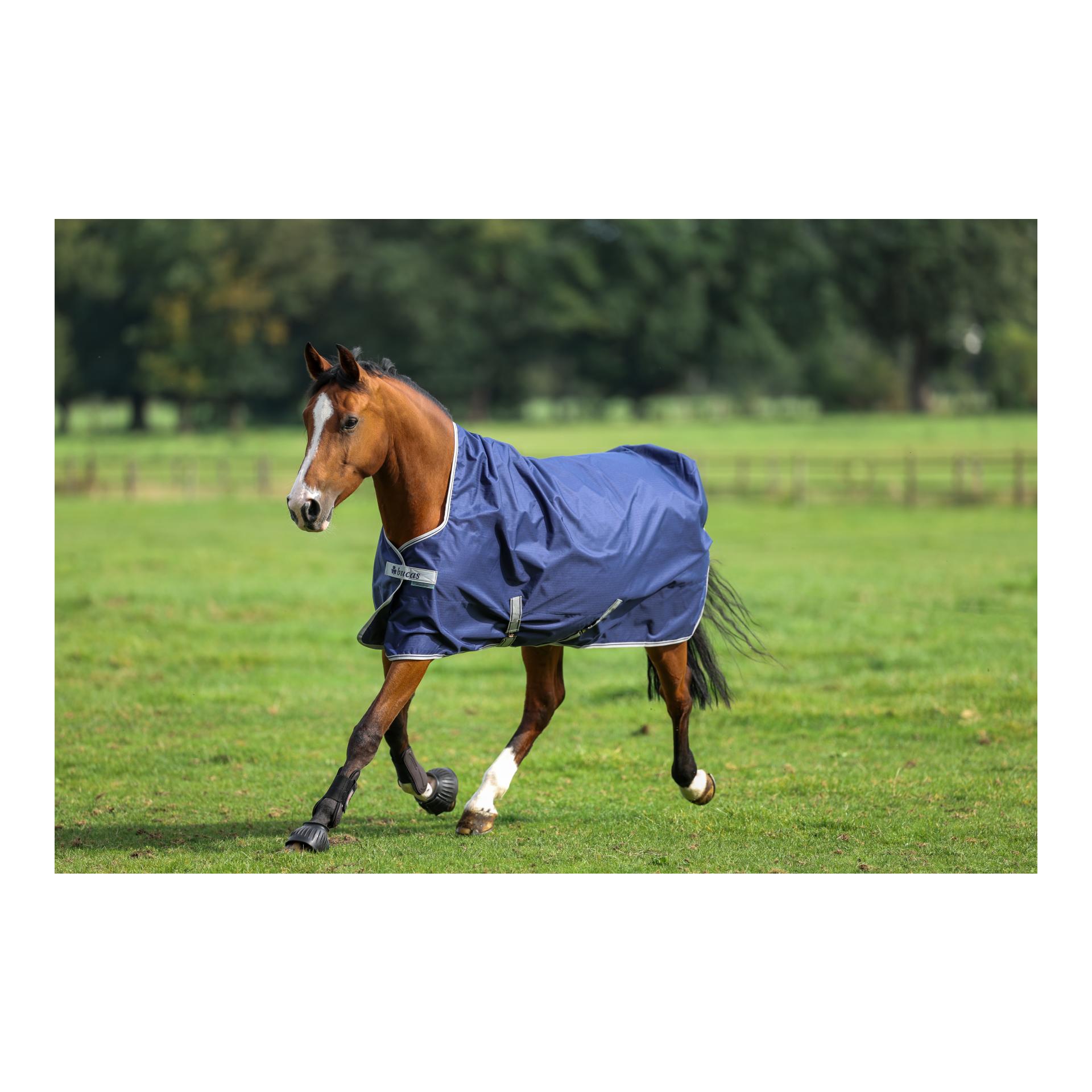Bucas Weidedecke Freedom Turnout High Neck Light - navy/silver