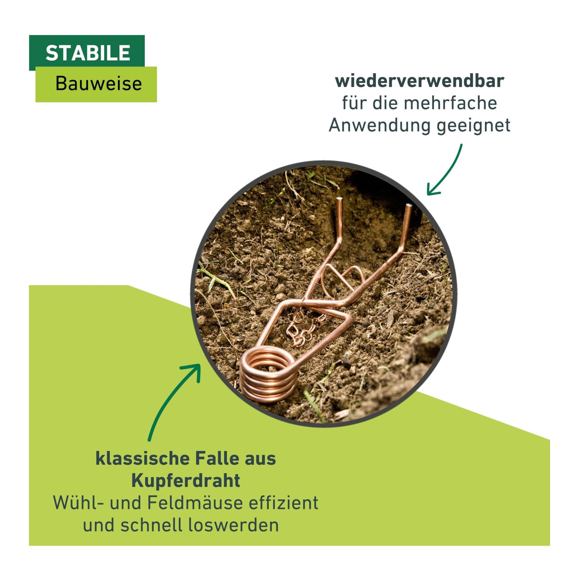 Windhager Piège à campagnols Standard
