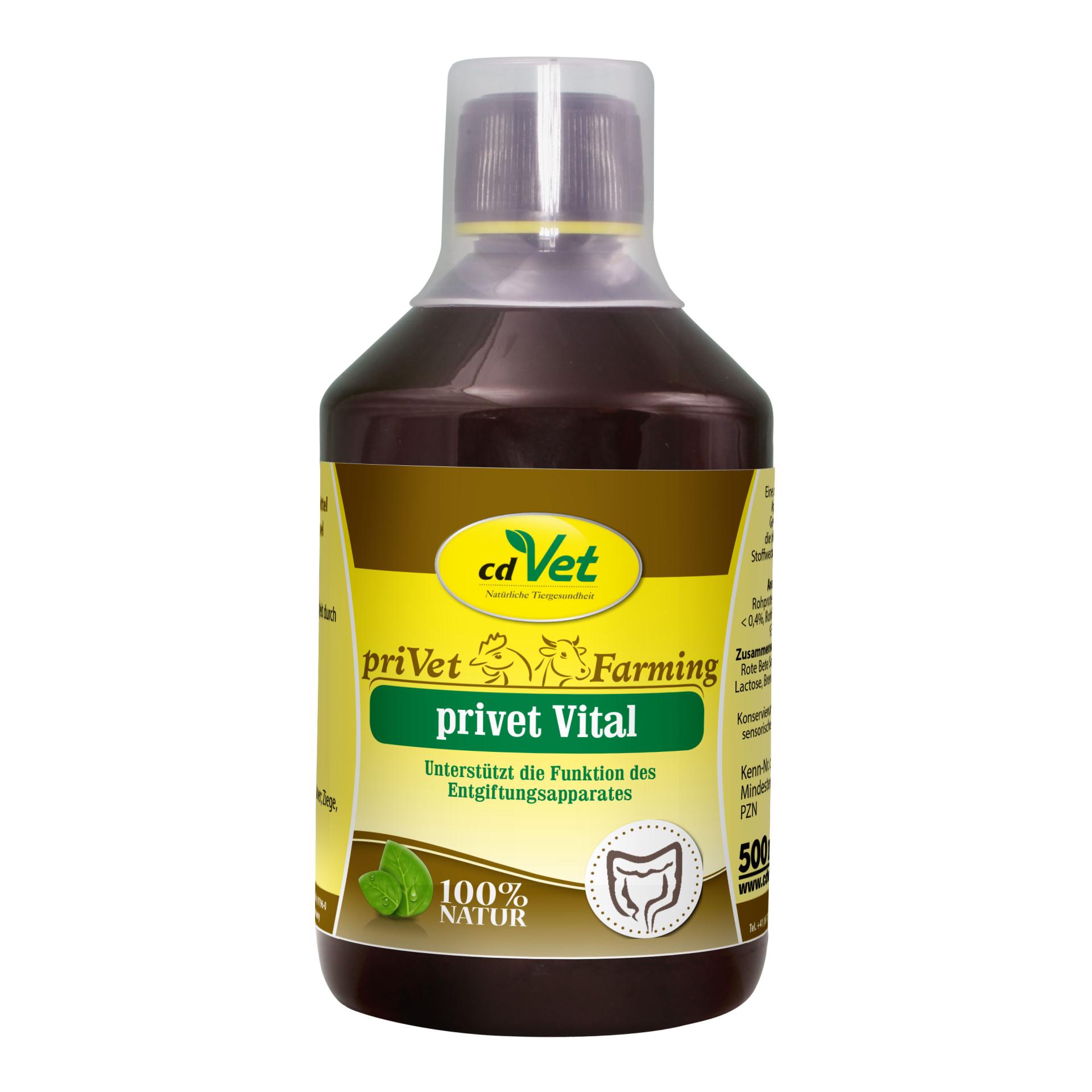 cdVet privet Vital