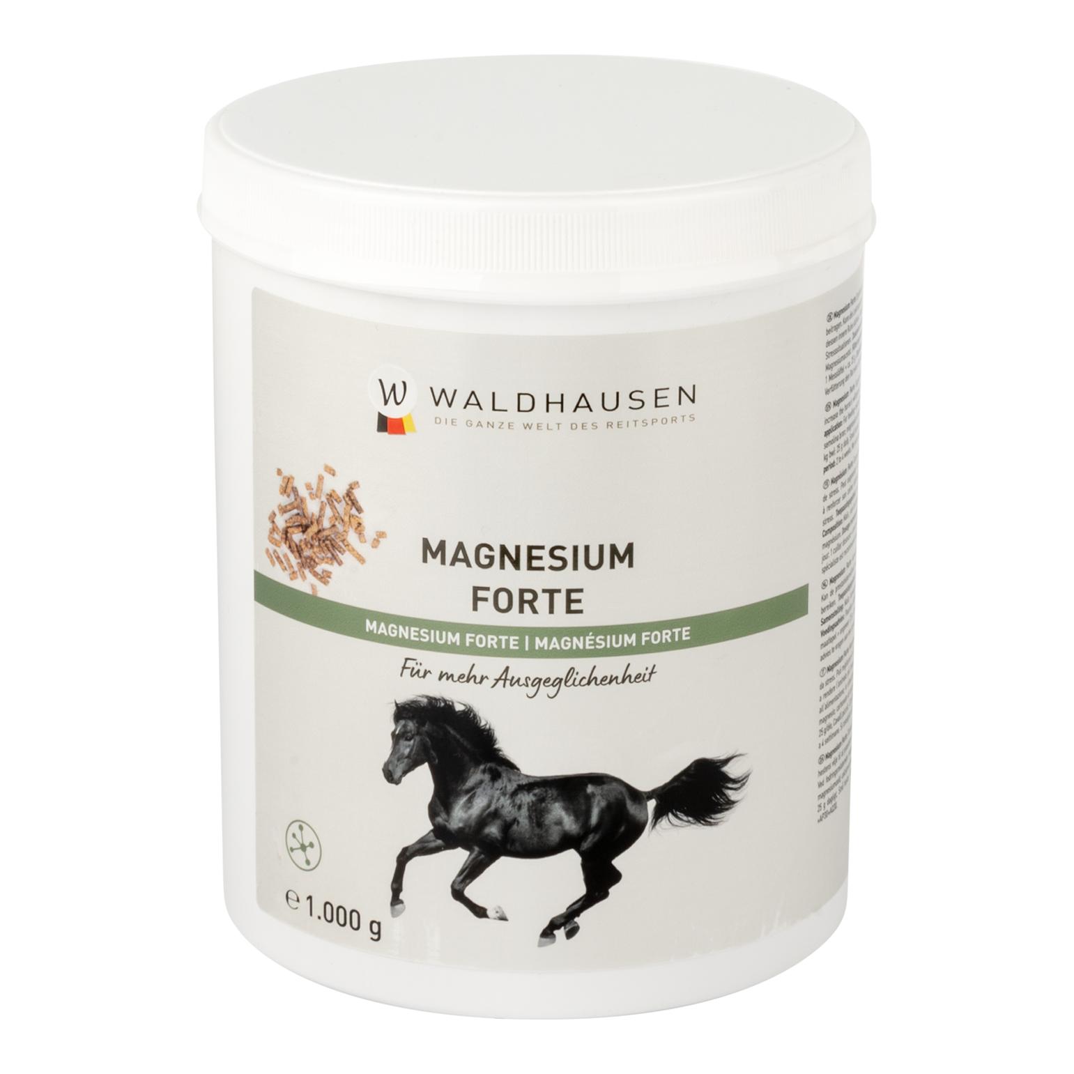Waldhausen Magnésium Forte – pour des nerfs solides