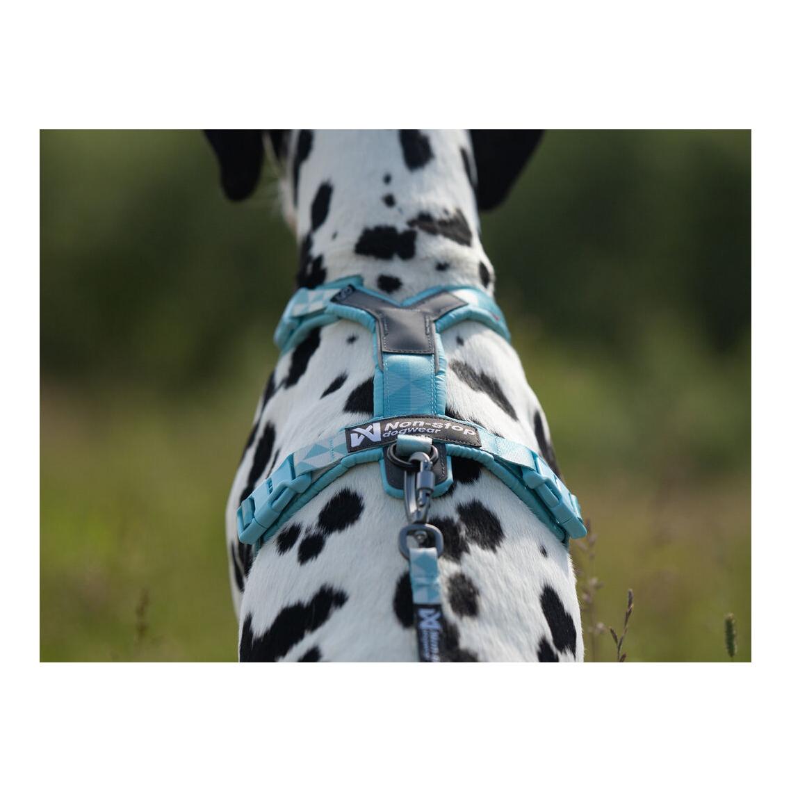 Non-stop Dogwear Hundeleine Trail Guest Leash
