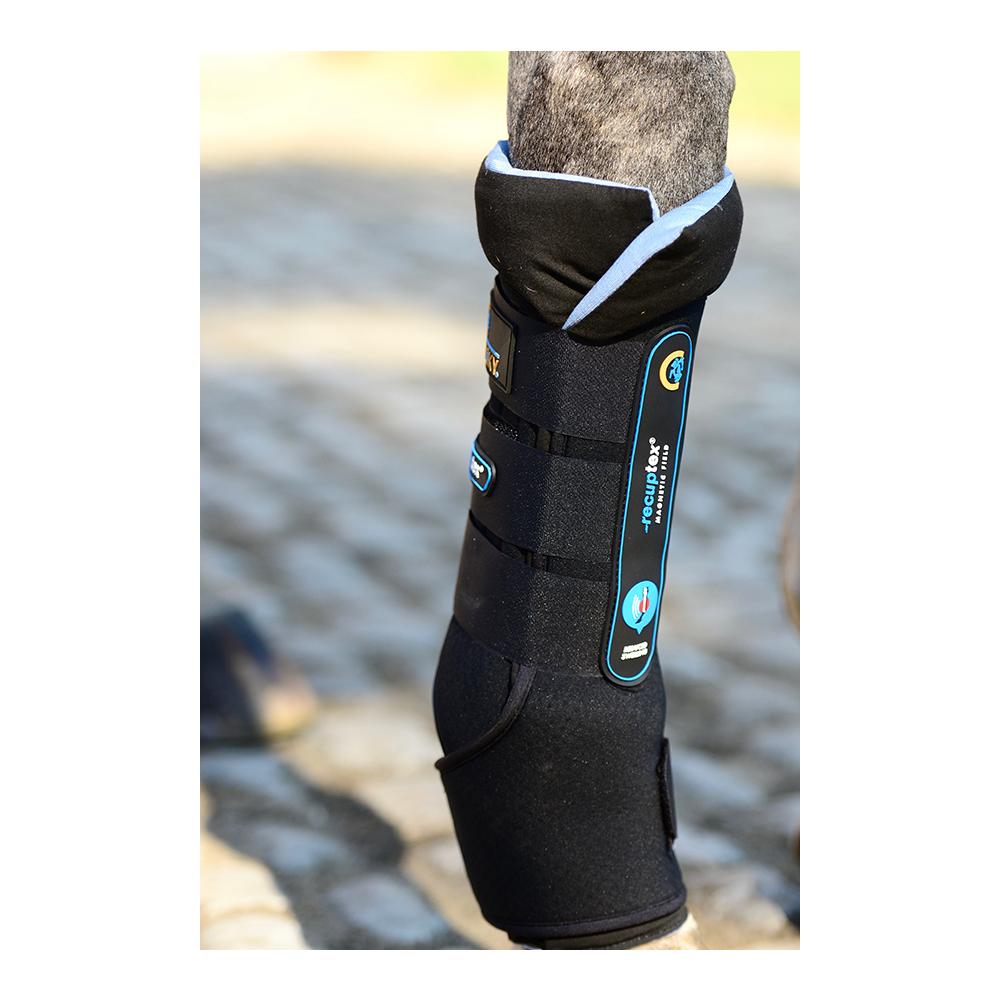 Kentucky Stallgamaschen Magnet Recuptex,  Paar Schwarz/Hellblau