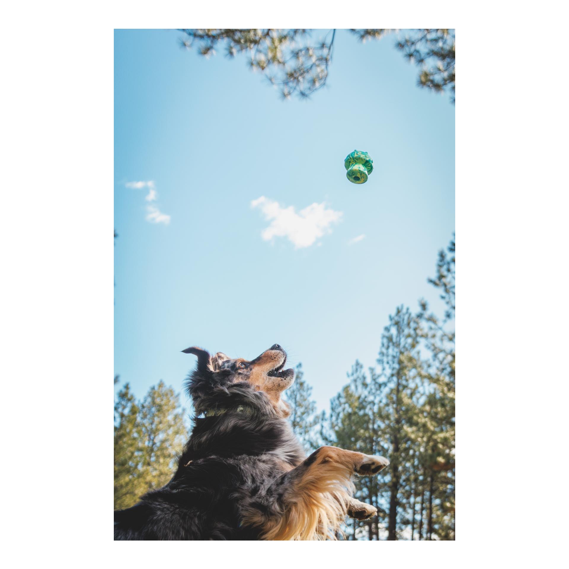 Ruffwear Hundespielzeug Toadstool