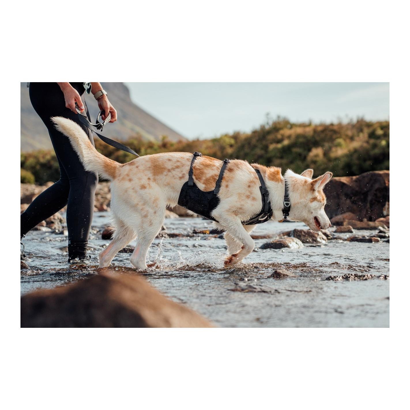 Ruffwear Ridgeline™ Harnais pour chien