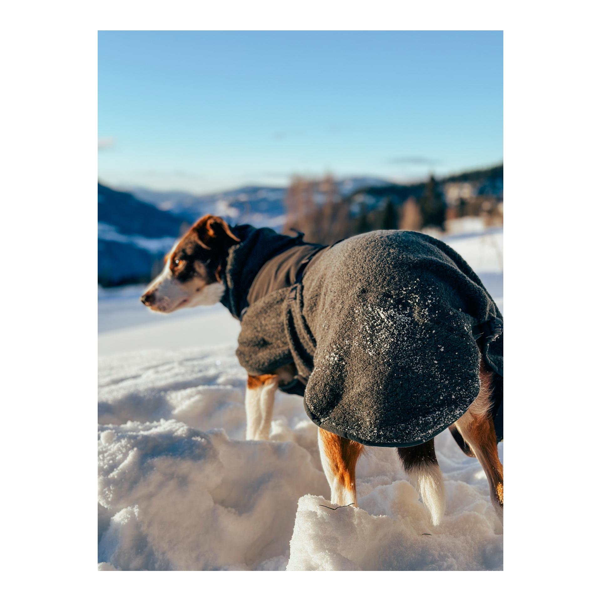 Non-stop Dogwear Manteau pour chien Wool Dog Jacket
