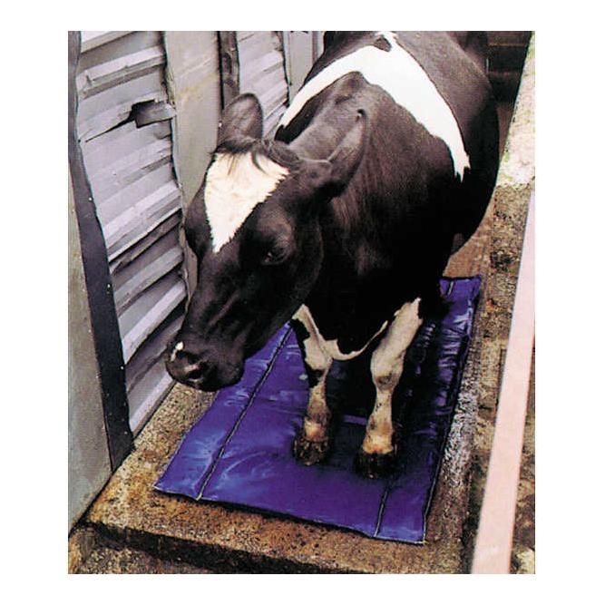 Shoof Tapis désinfectant et de soin pour les sabots