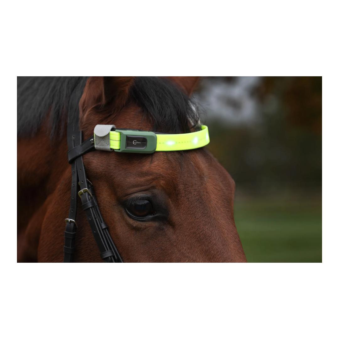 Covalliero Stirnriemen LED