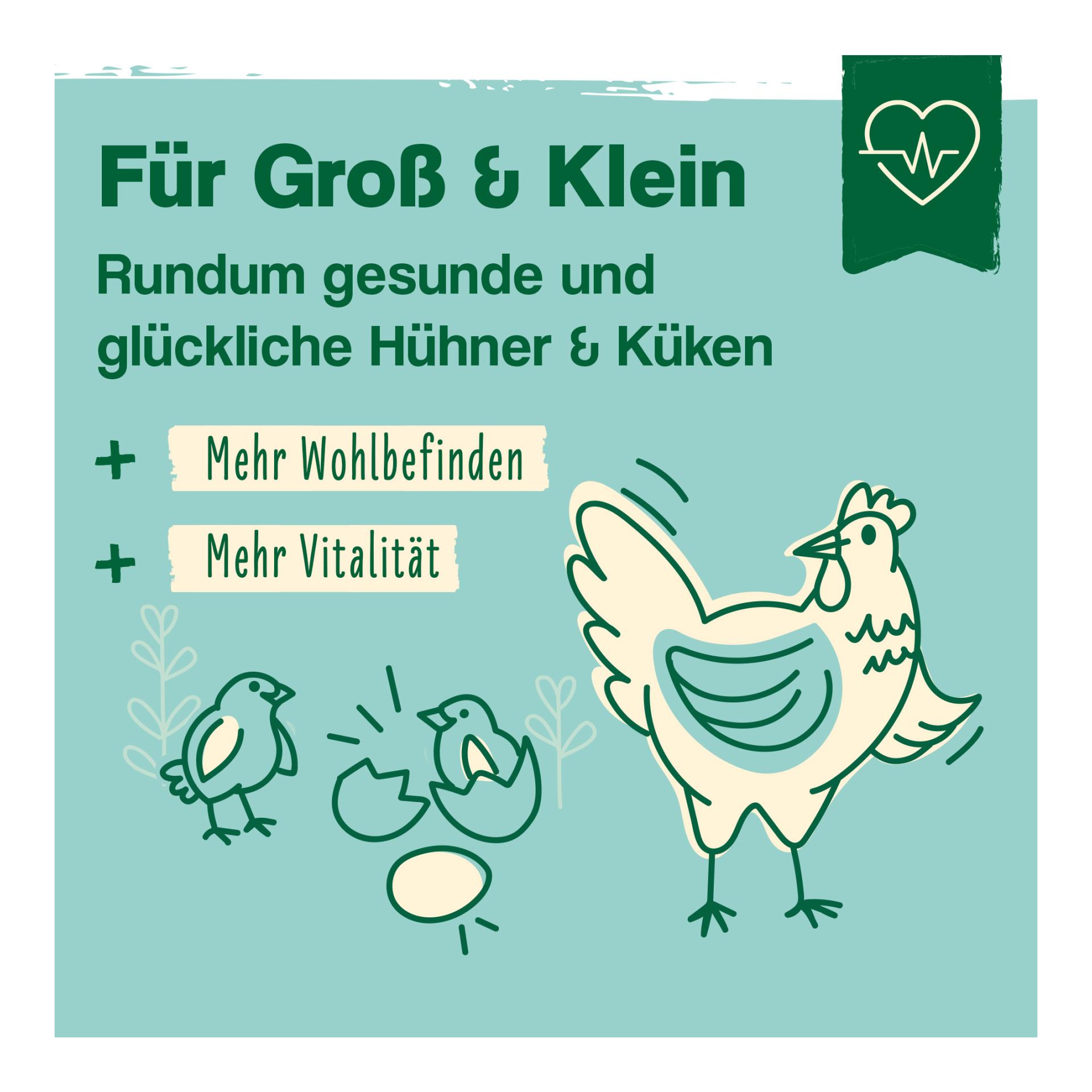 IdaPlus BronchoCare für Hühner & Küken - unterstützt die Atemwege