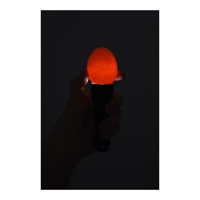 Kerbl Hobbyfarming LED Schierlampe