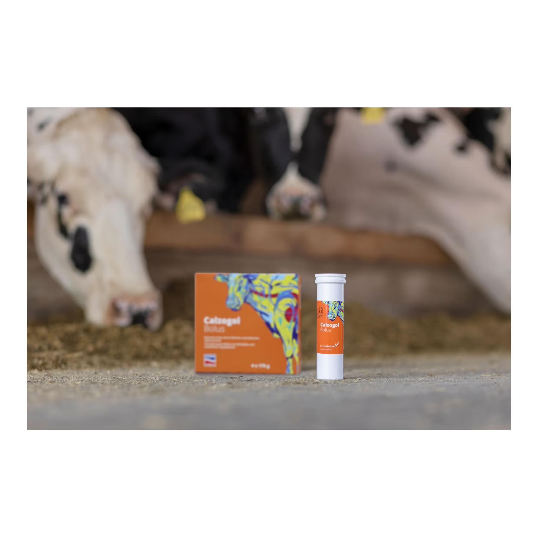 AgroChemica Calzogol Bolus - Bolus de calcium (fièvre du lait)