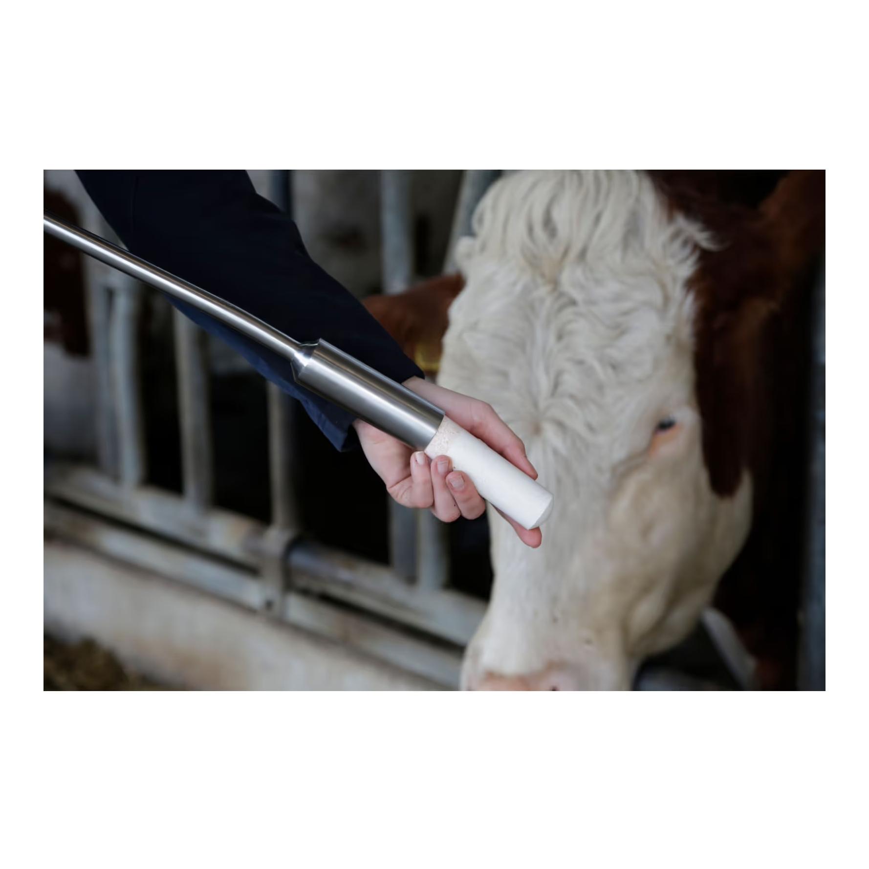 AgroChemica Ket-o-Vital® Bolus - Bolus énergétique (cétose)