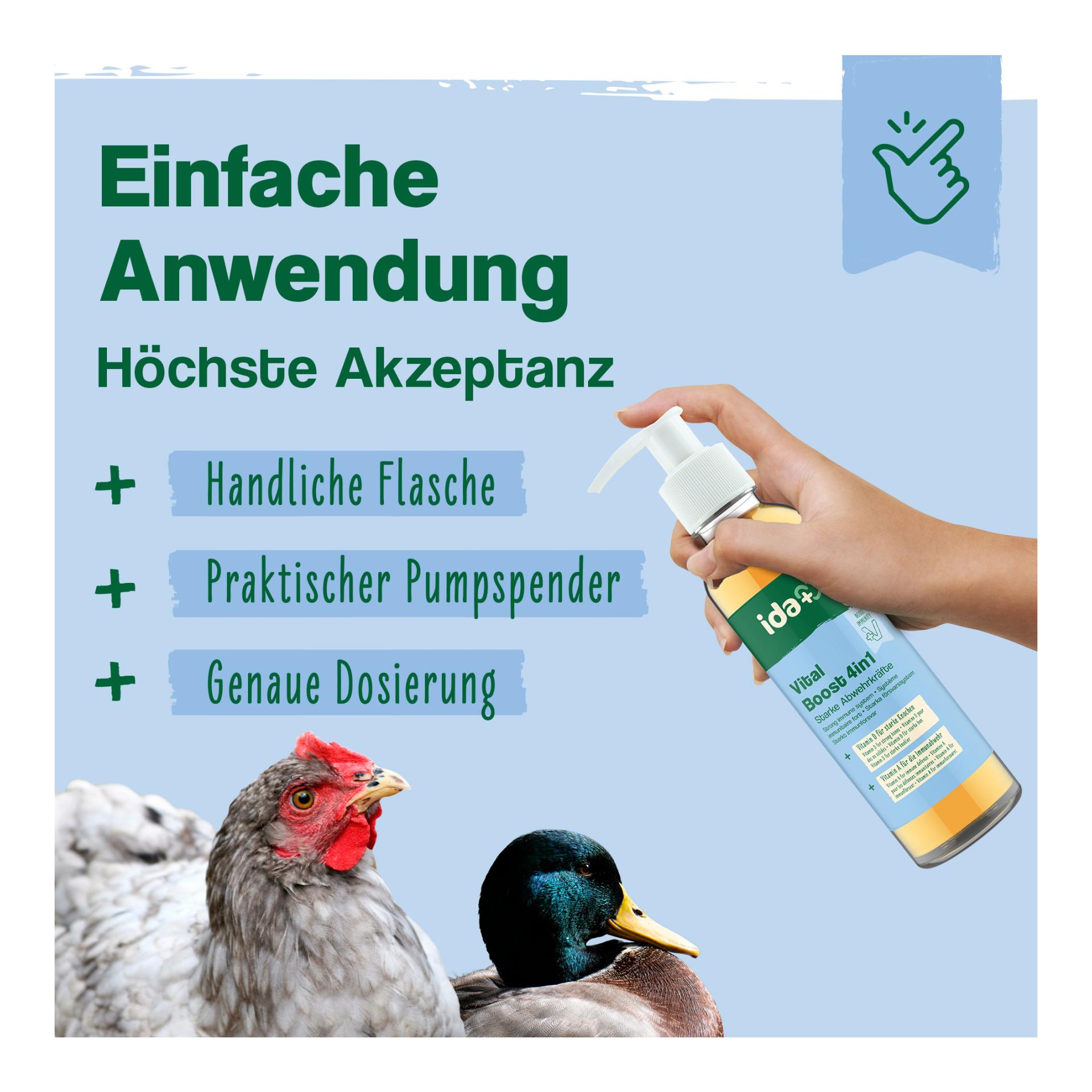 IdaPlus VitalBoost 4in1 – Vitaminkonzentrat für starke Abwehrkräfte