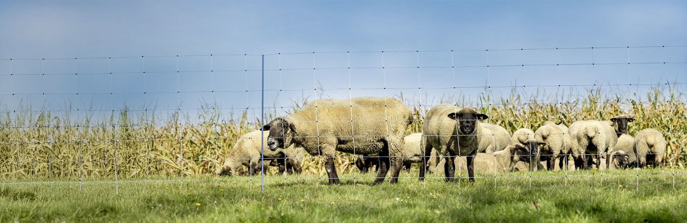 Hauptner-Weidezaun-Slider-Schafnetze