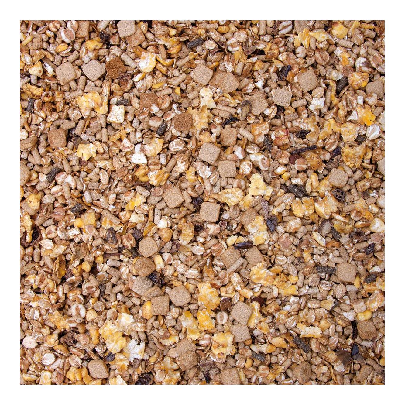 Höveler Muesli pour poulains