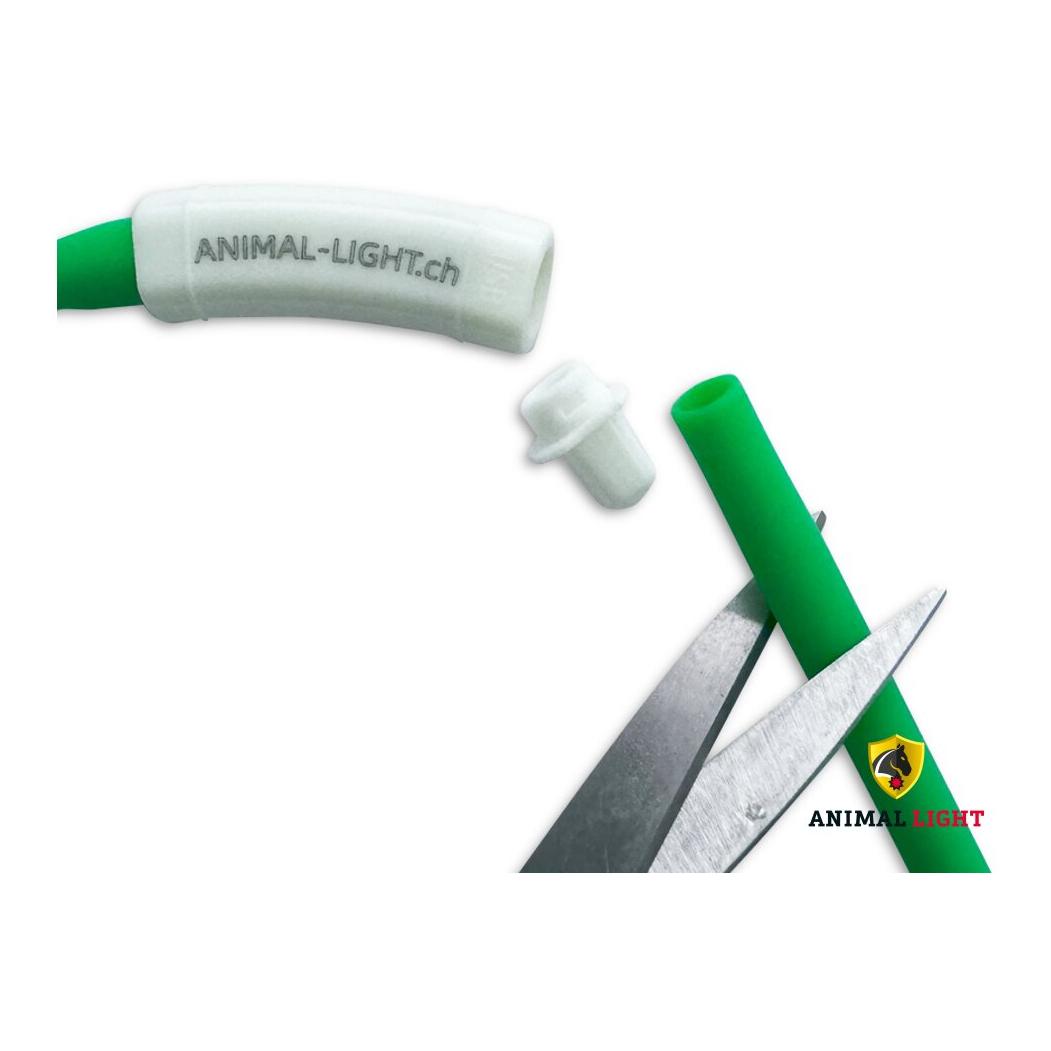 Animal Light Leucht-Halsriemen Flex