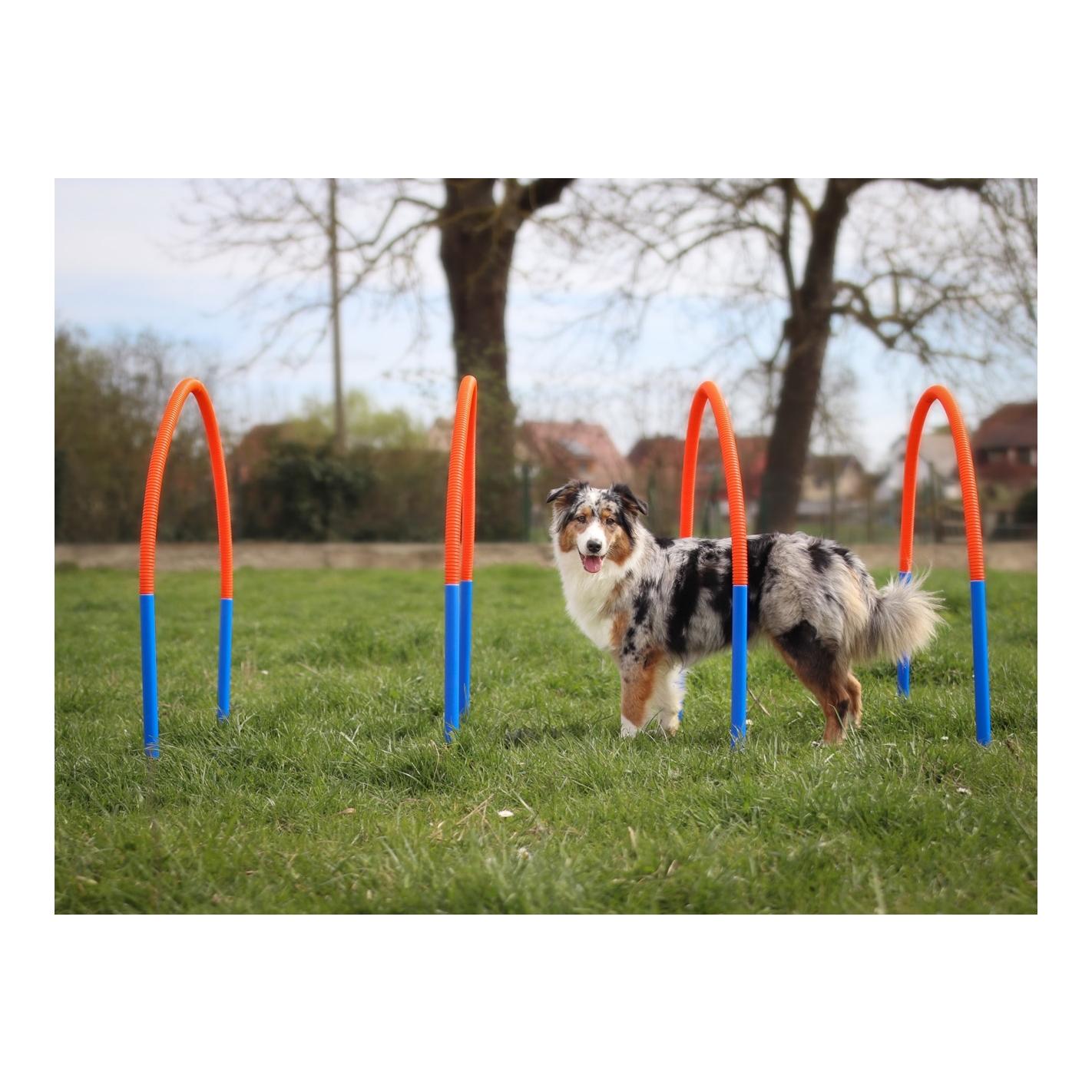 Agility Agility Hooper Bogen Set