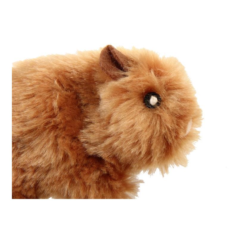 Gigwi Poivre avec herbe-aux-chats