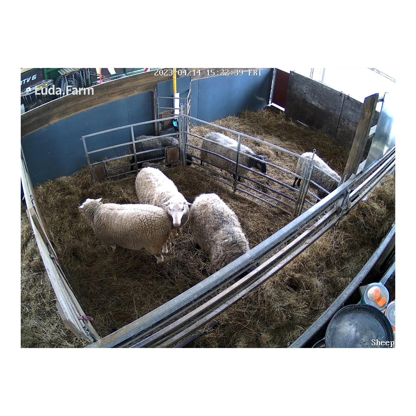 LudaFarm Kit complet FarmCam Flex avec Wi-Fi 300