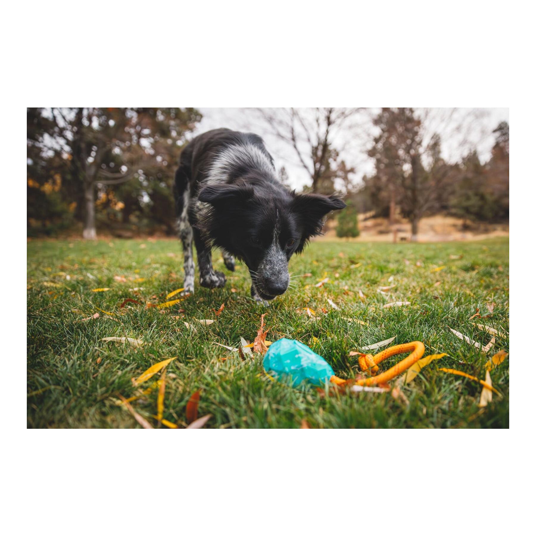 Ruffwear Hundespielzeug Huck-a-Cone