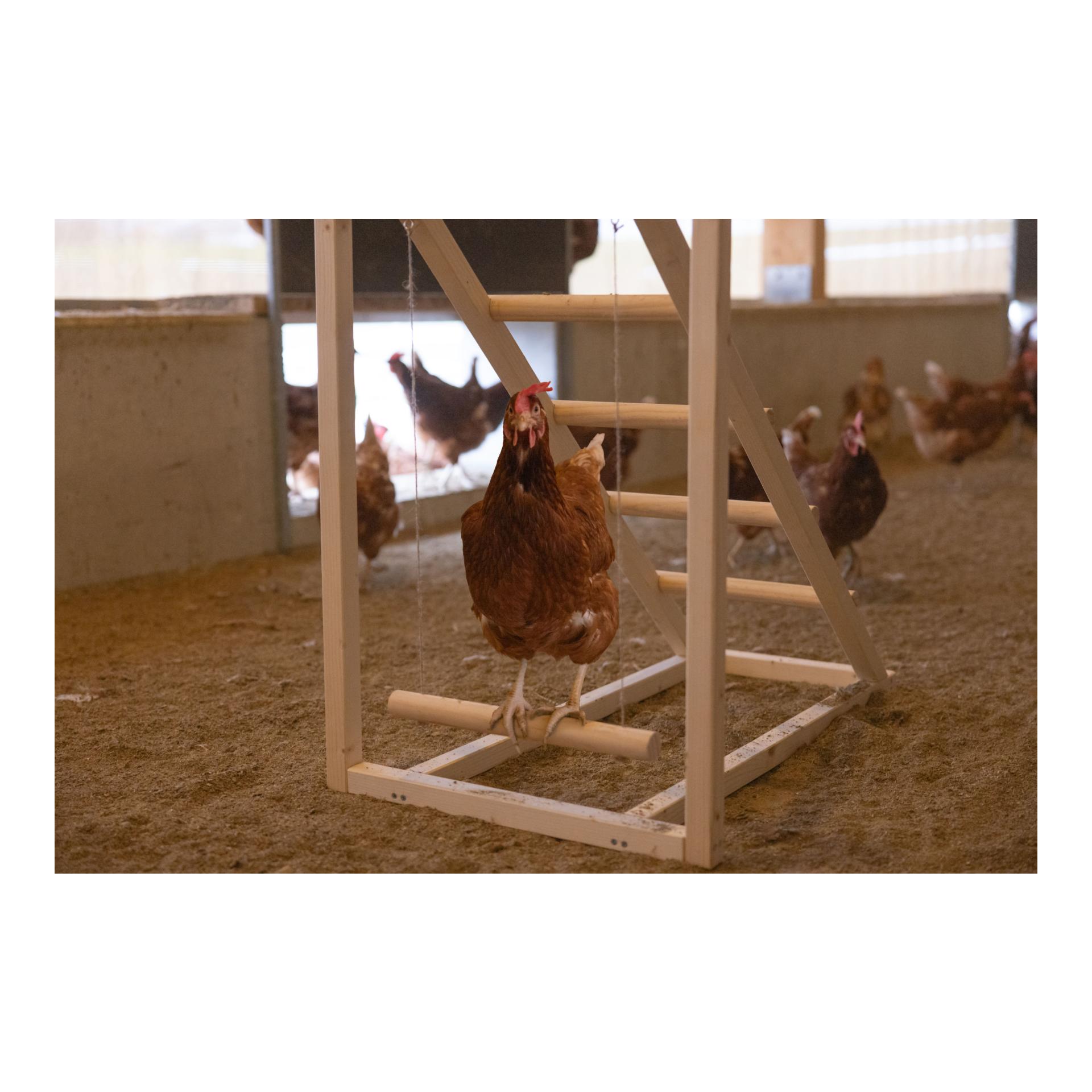 Kerbl Hobbyfarming Kletterturm mit Schaukel für Hühner
