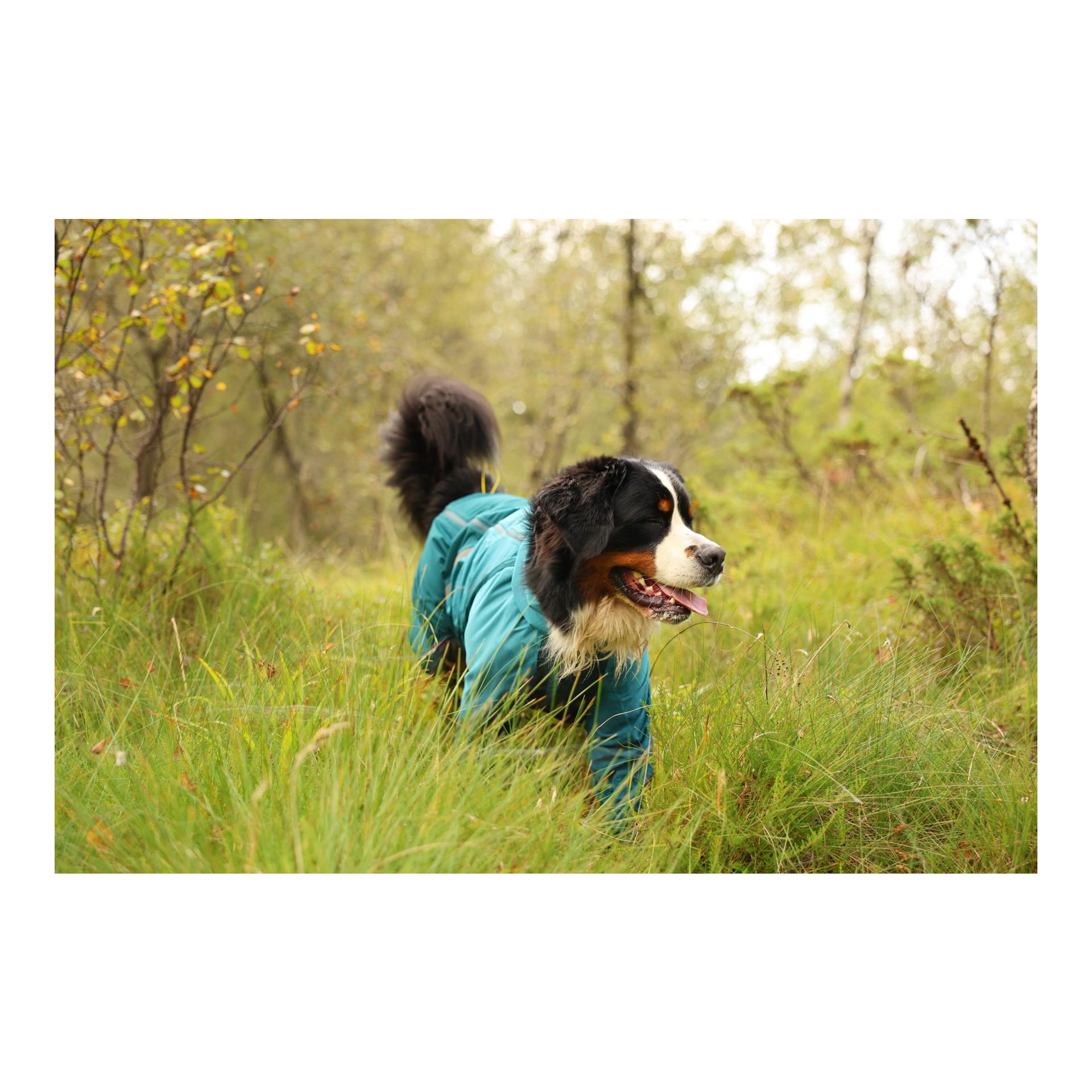 Non-stop Dogwear Imperméable Fjord