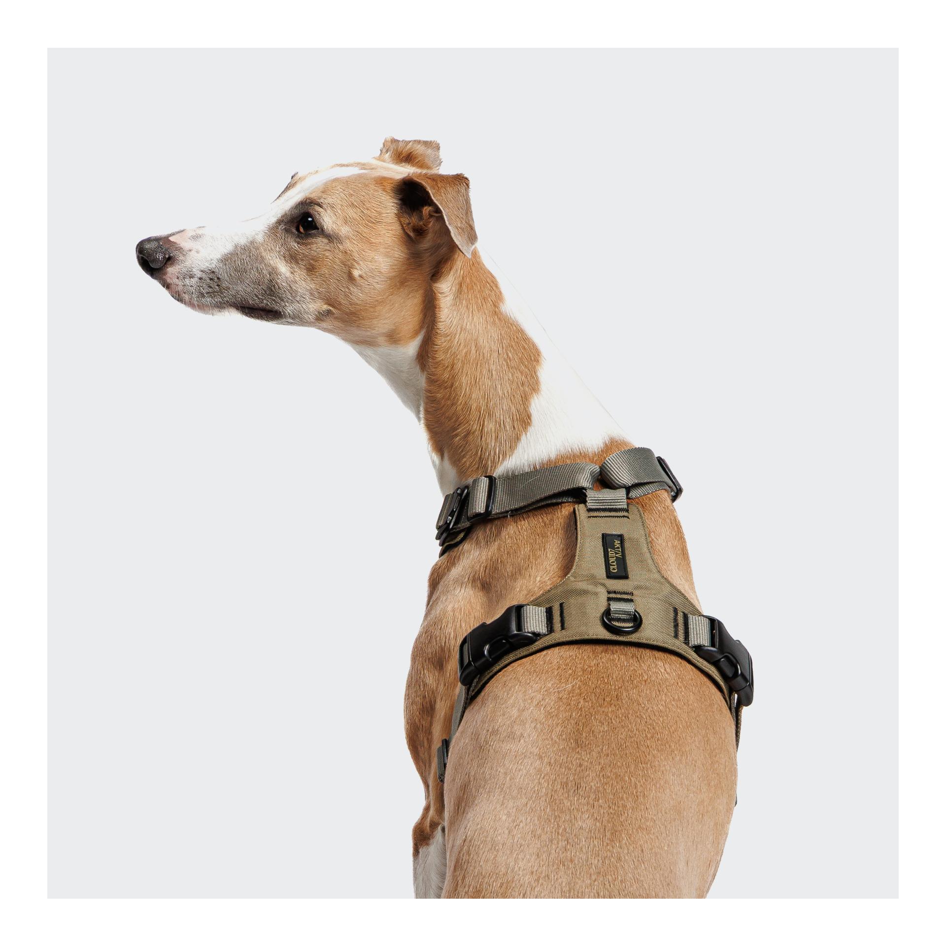 Cloud 7 Y-2-Hundegeschirr
