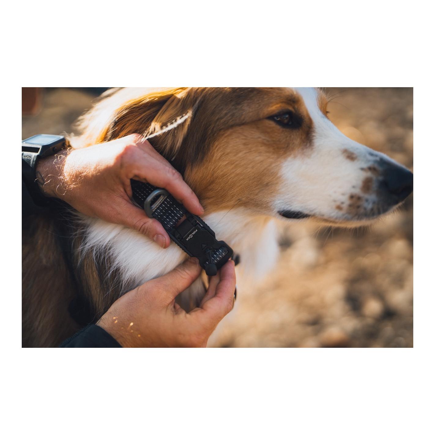 Ruffwear Ridgeline™ Collier de chien