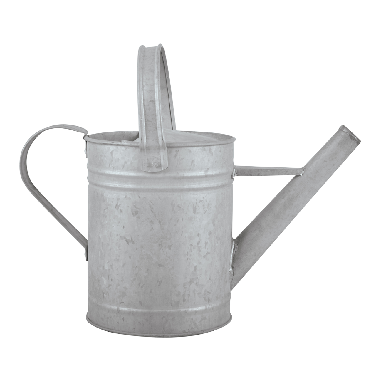 Esschert Arrosoir Zinc Patiné