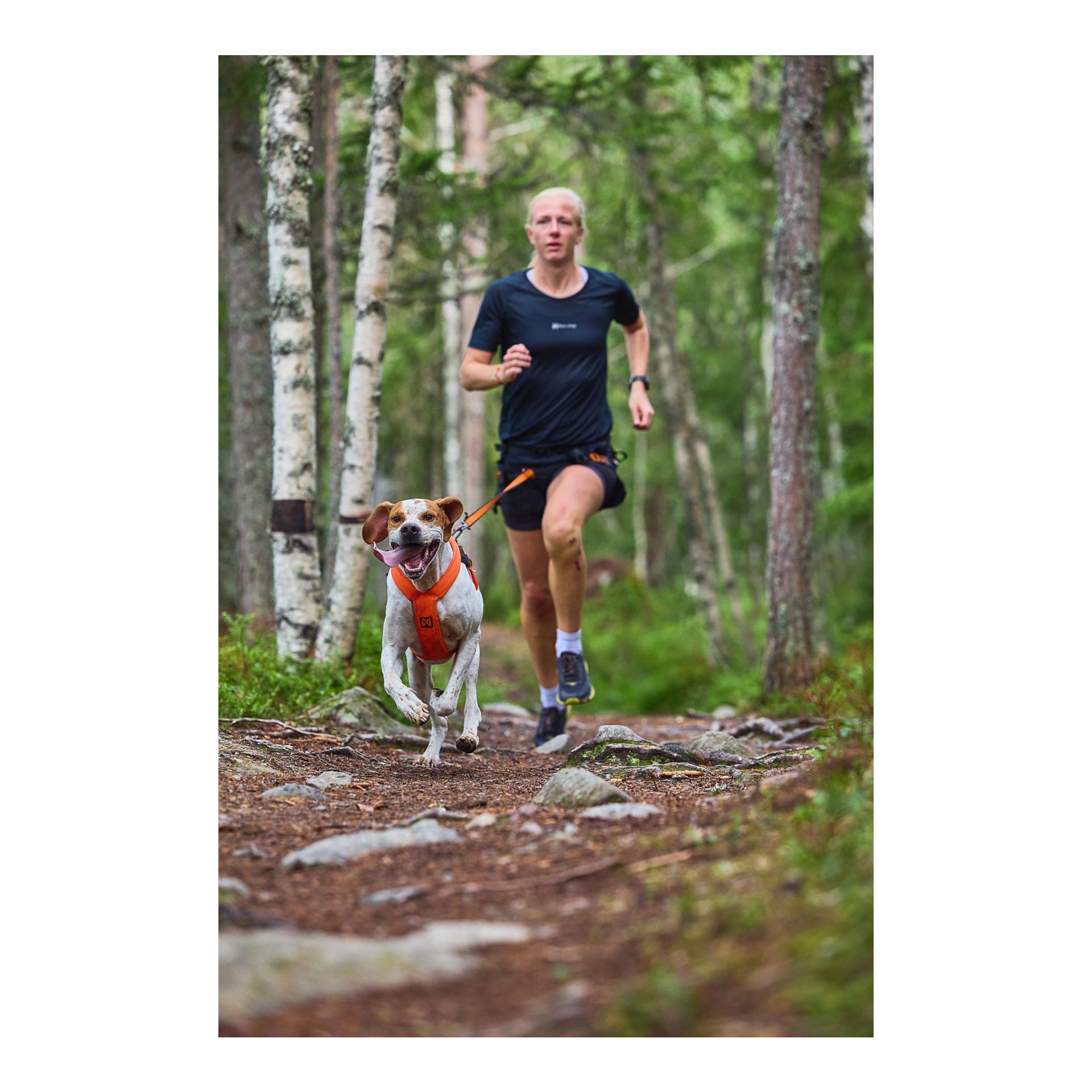Non-stop Dogwear Zuggeschirr Freemotion Harness 5.0