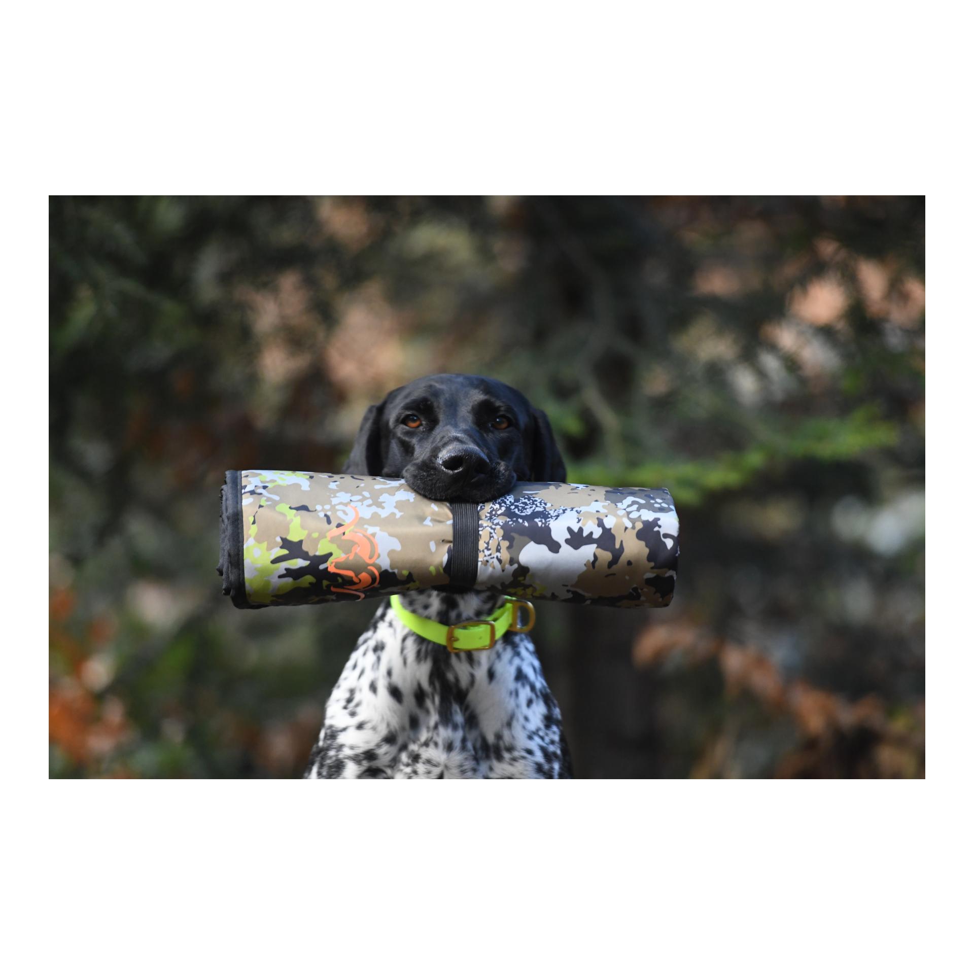 Blaser Hundedecke HunTec Camo