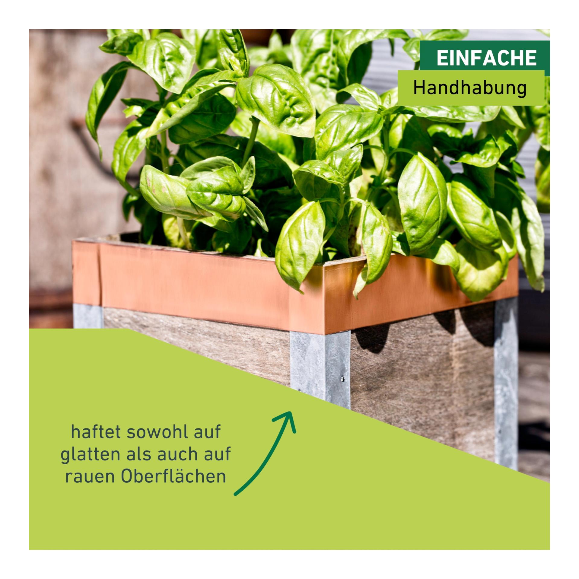 Windhager Bande anti-limaces