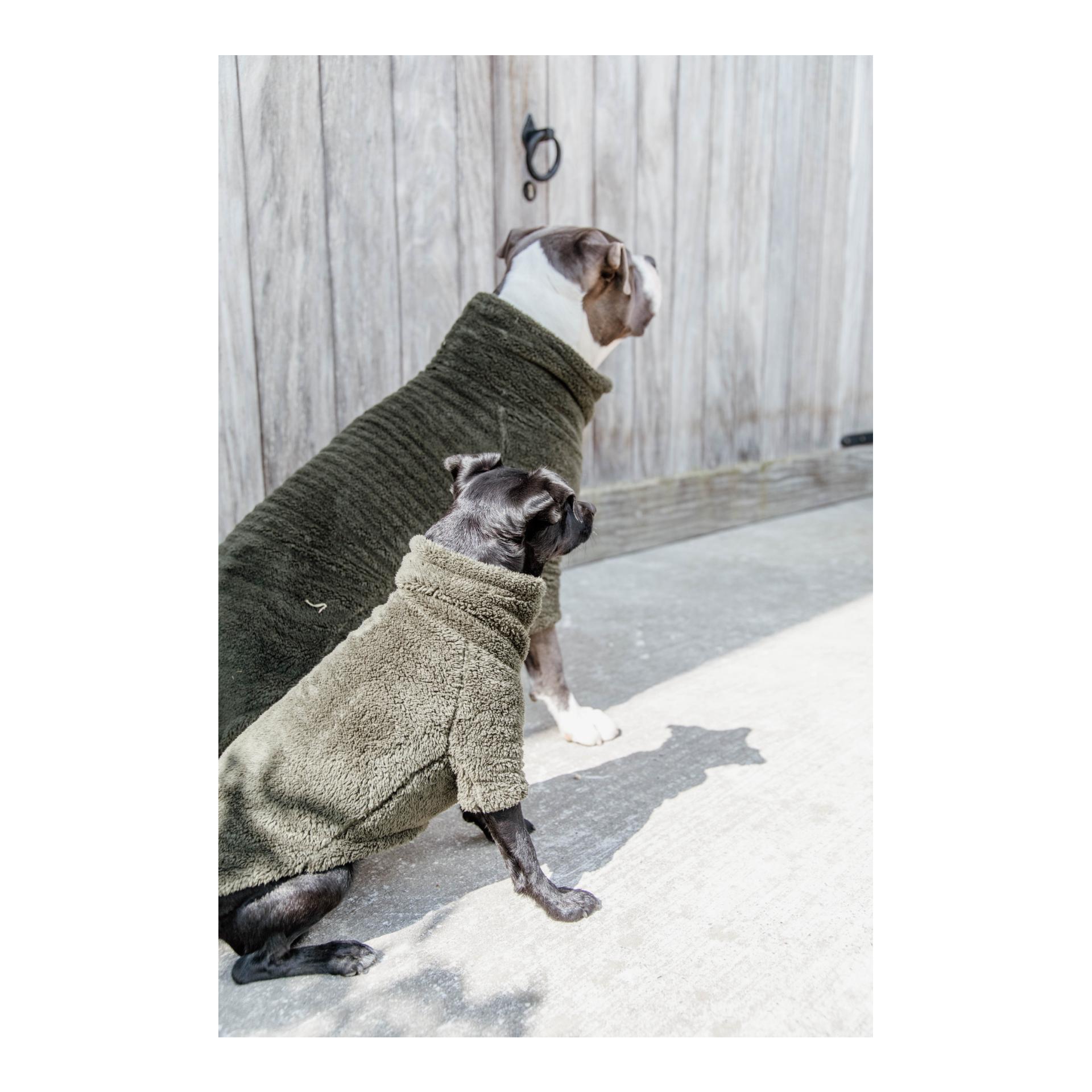 Kentucky Dogwear Pullover pour chien Teddy Fleece - Pine Green