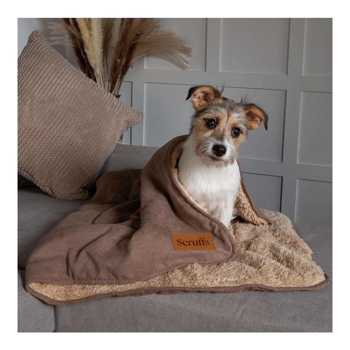 Scruffs Kuscheldecke für Hunde