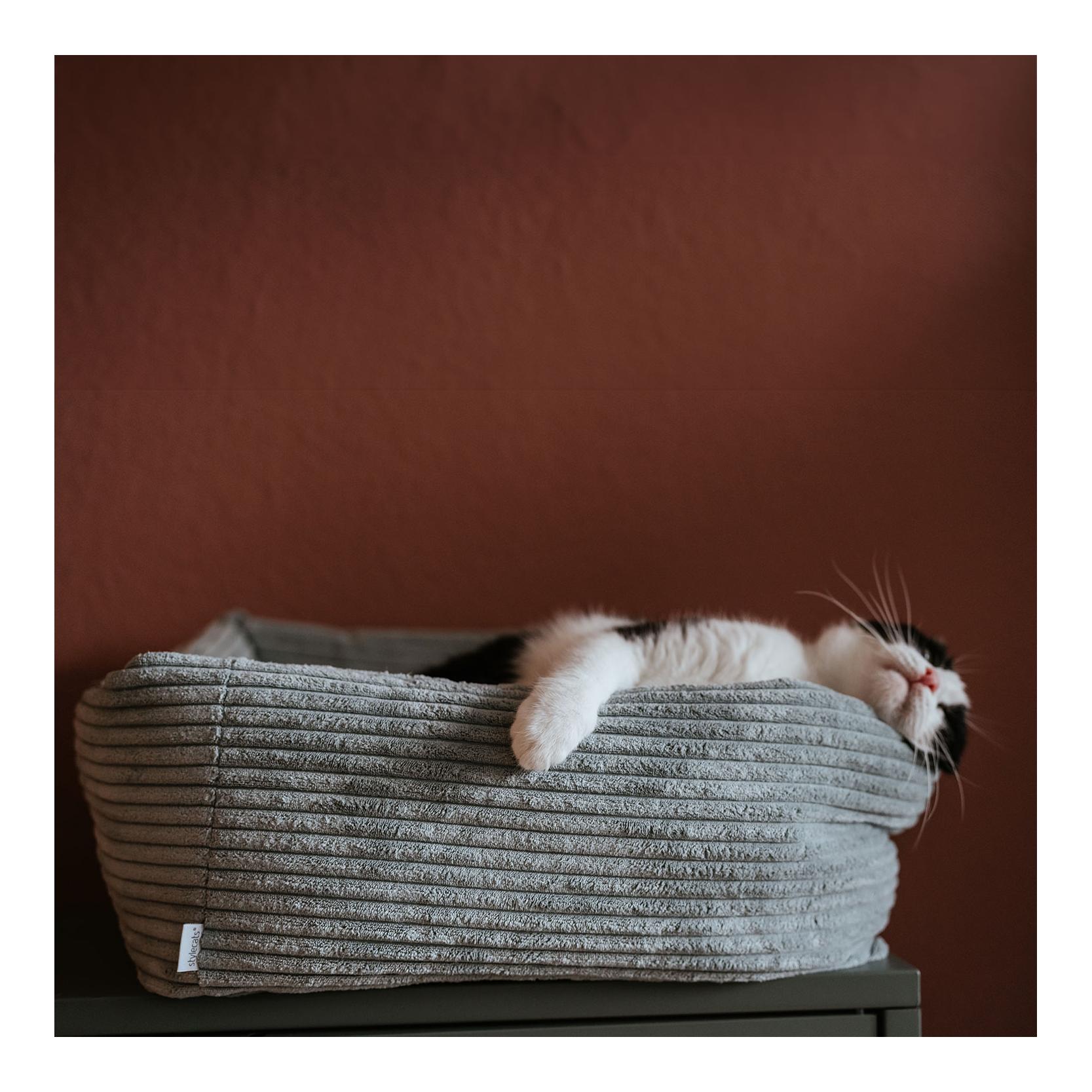 Stylecats by Hunter Katzenbett Rimini