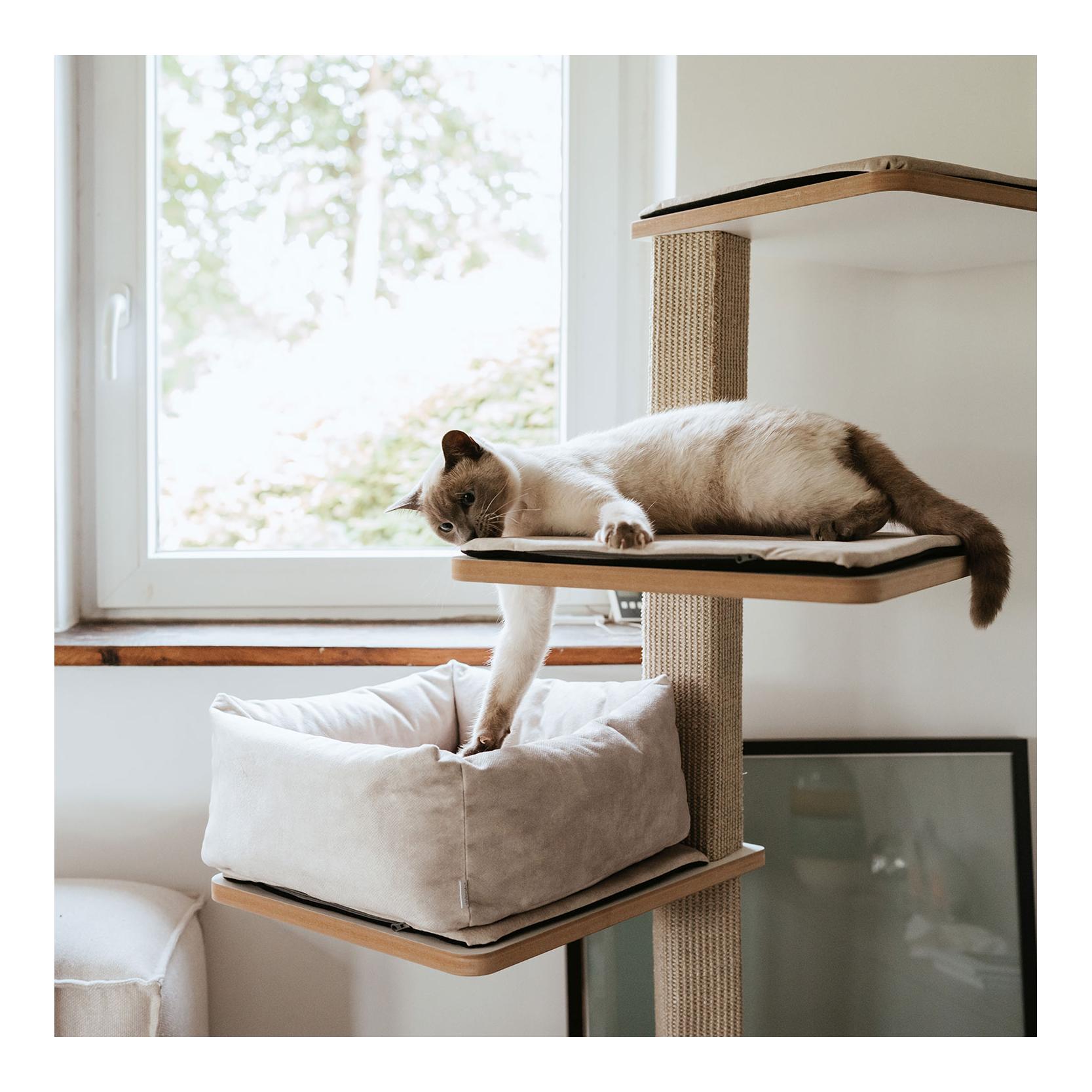 Stylecats by Hunter Katzenbett Dreamie