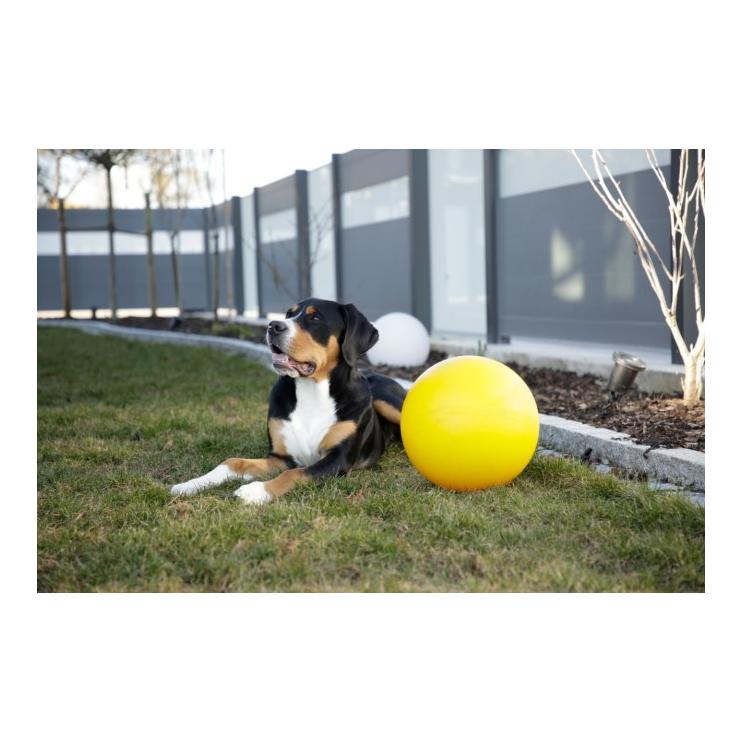 Kerbl Pet Balle pour chien 30 cm