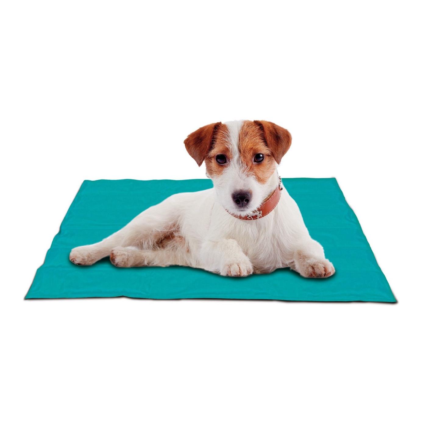 Flair Pet Tapis réfrigérant pour chiens
