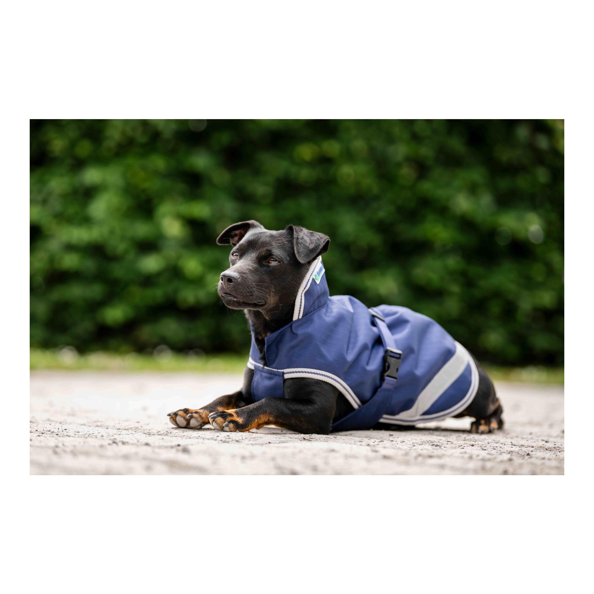 Bucas Hundedecke Freedom 300g
