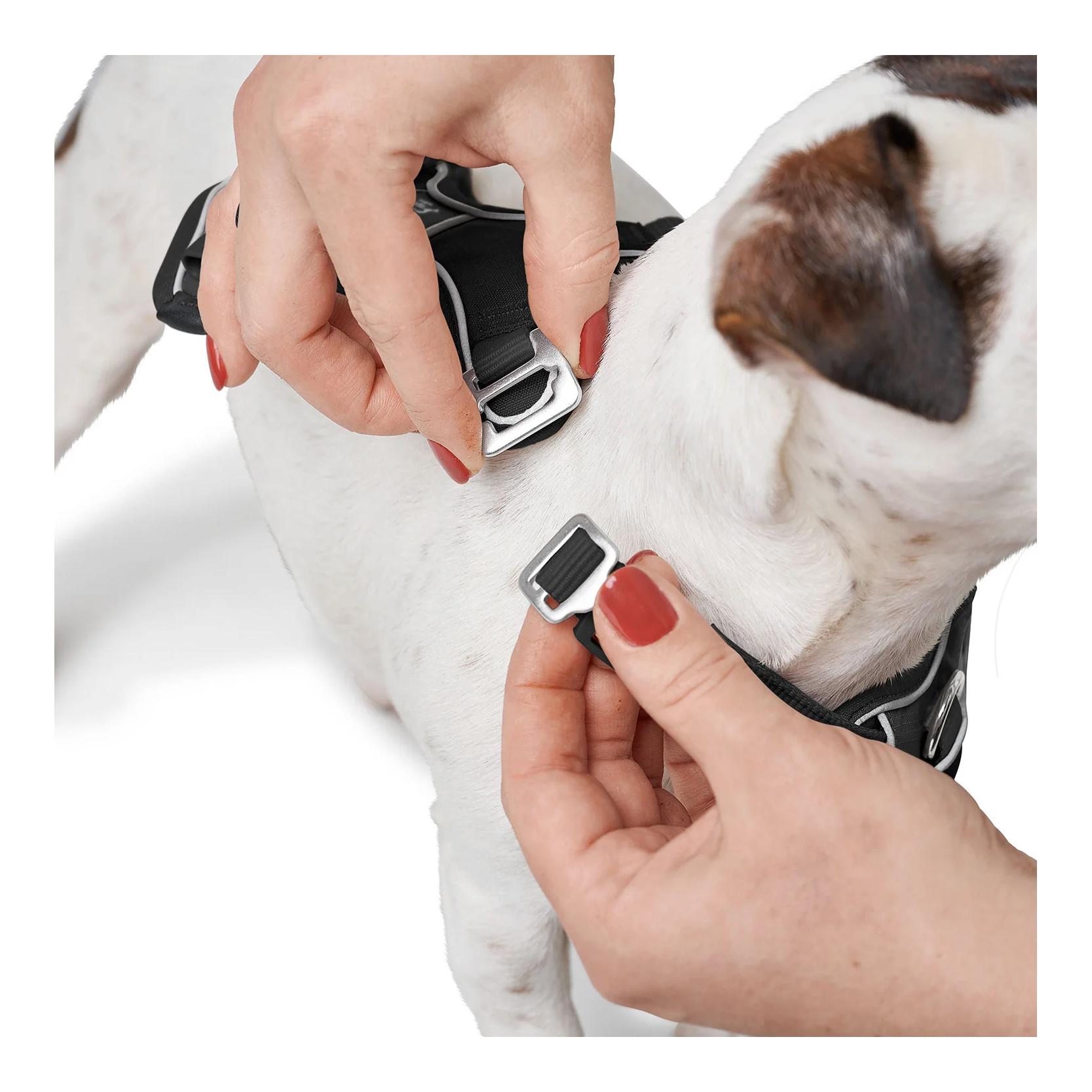 Hunter Hundegeschirr Divo Up