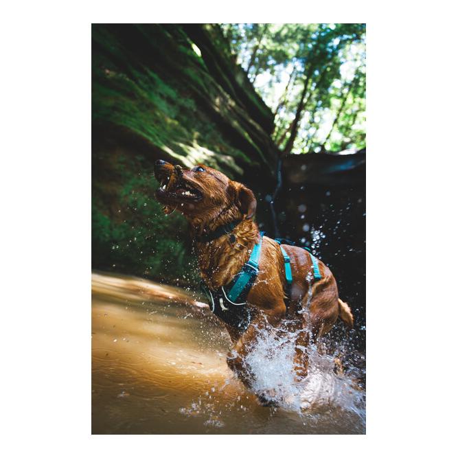 Ruffwear Flagline™ Hundegeschirr