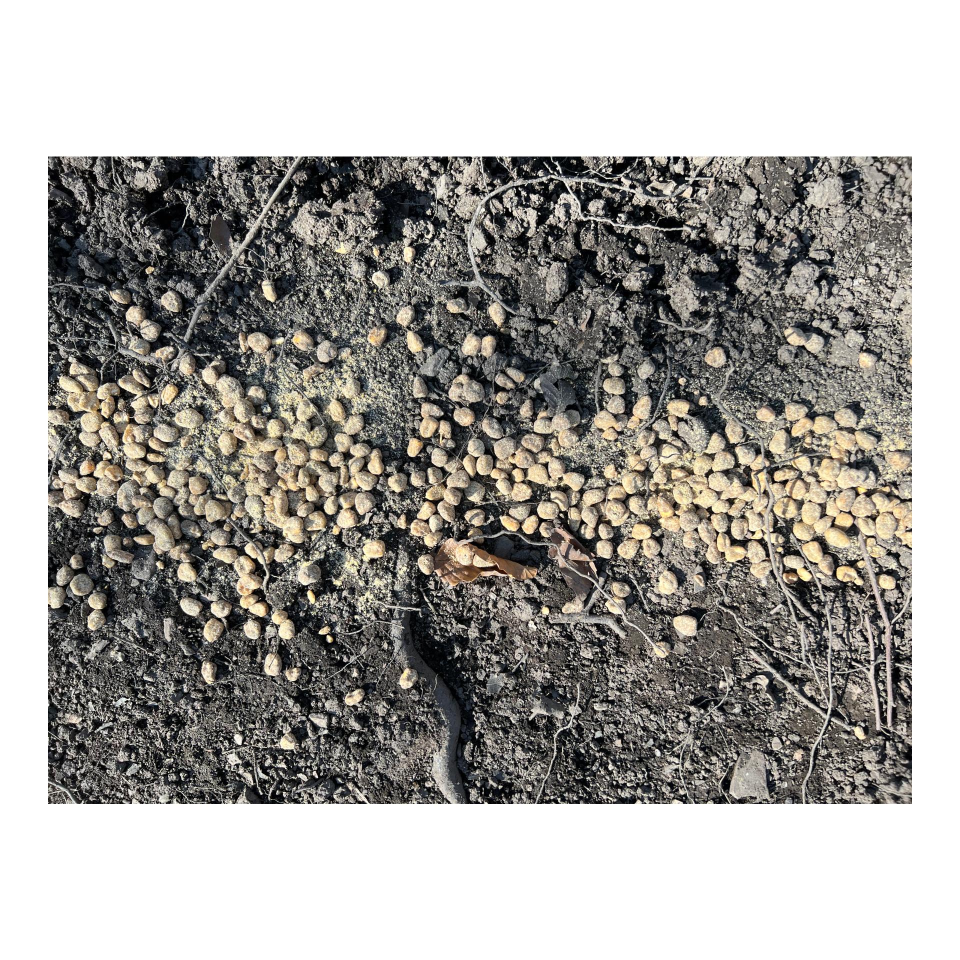 Wildlutscher Magic Boilies Nr. 2 Topinambur/Vogelbeere