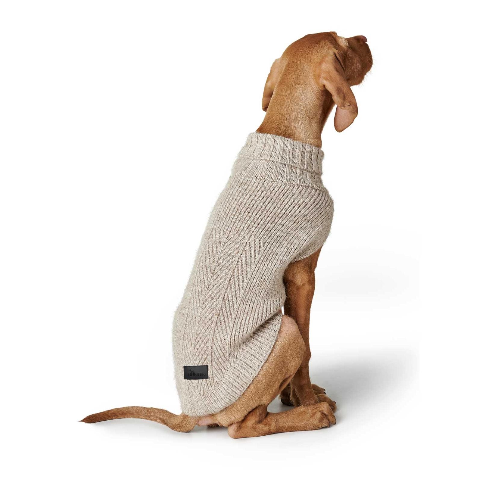 Hunter Pull pour chien Genève